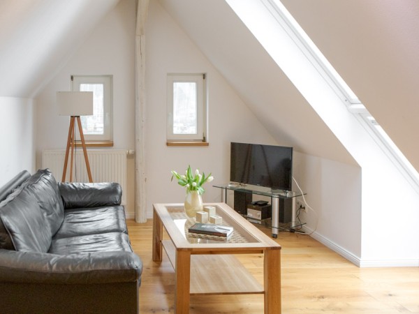 Villa Elbufer - Robert 1867